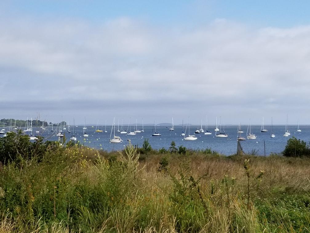 Boats in harbor