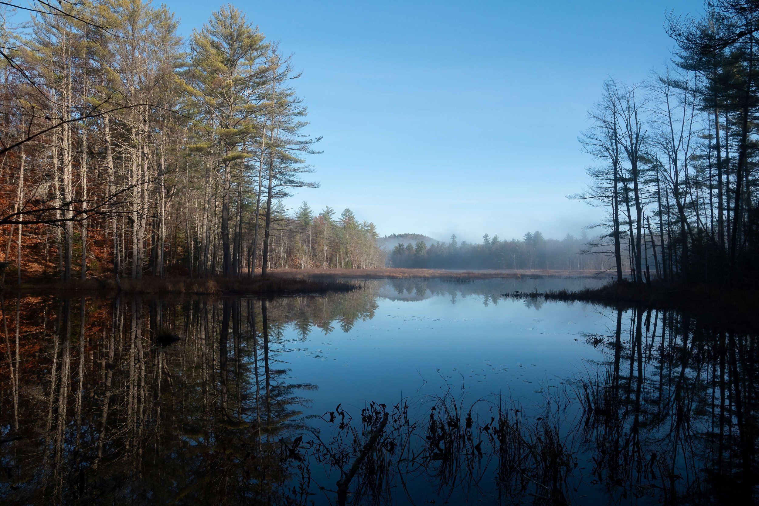 NSB Contributes 1,000 to Greater Lovell Land Trust for Accessible