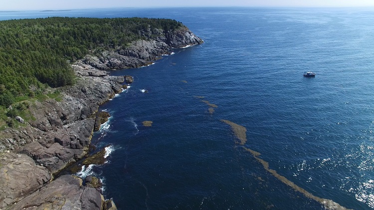 Gulf of Maine Research Institute