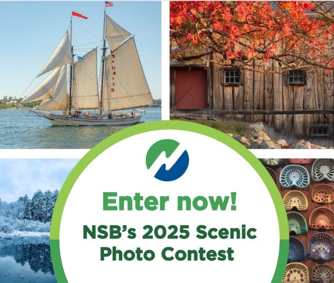 ScenicPhotoContest